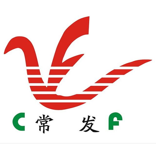 武汉常发建设集团