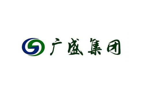 湖北广盛建设集团