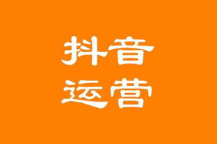 崇川区哪里vlog运营效率高