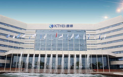 康婷 以科研破局构建创新产品体系