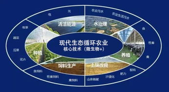 道和集团象山现代生态循环农业示范基地建设将启动