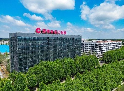 乘风破浪,河南冷链物流企业助力食品产业驶向新蓝海