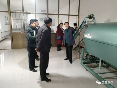 申美集团一行到邯郸市金益农公司参观考察 蒲公英标准化种植及产品精深加工项目