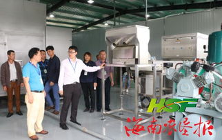东昌胡椒加工厂建成投入使用