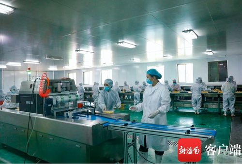 海垦集团 加快推进热带特色农业产业发展 打造特色热带高效农业 王牌