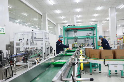 深耕品牌建设,食品集团打造践行大食物观先行地