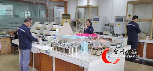 贺州市经济社会发展成就综述 奋力走在前列 谱写精彩篇章