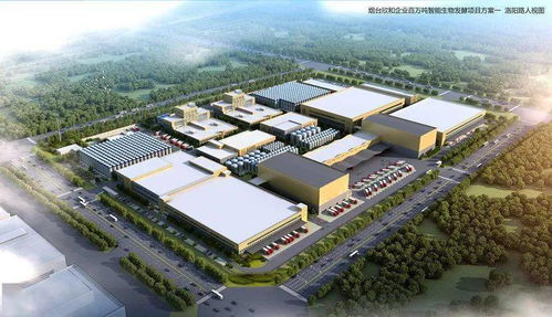 总投资64亿元，自贸区烟台片区6大智能制造重点项目集中开工