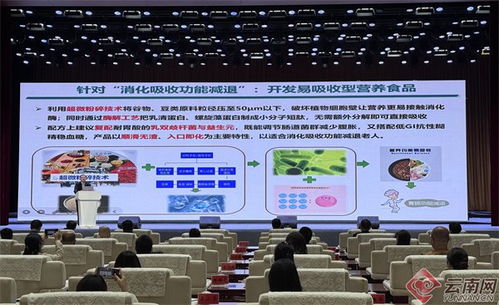 科技赋能，品牌驱动，西部农业加工新篇章——腾冲峰会共商发展大计